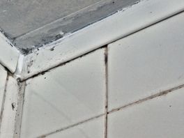 Shower ceiling