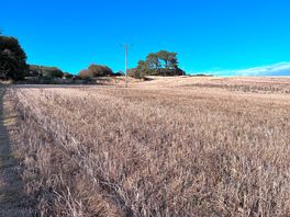 More fields along the path