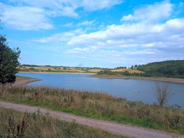 The lake