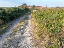 Track suitable for cycling with gravel bikes