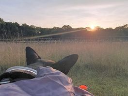 Sunset from our pitch