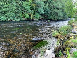 A peaceful river runs through the site.