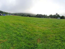 The field