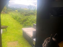 Early morning view