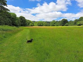 Exercise field