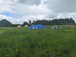 Pitched with friends