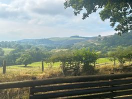 Views!