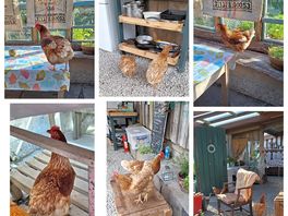 Living on a farm