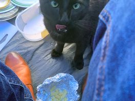 Our little friend