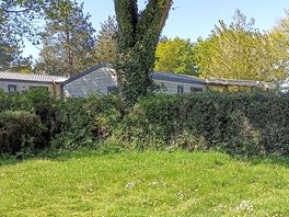 Partially shaded grass pitches