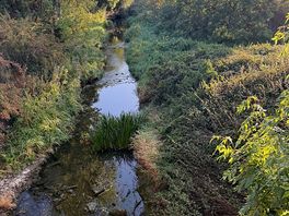 Nearby river