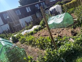The family allotment