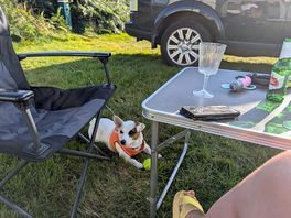 Daisy the happy camper. plenty of dog poo bins on site