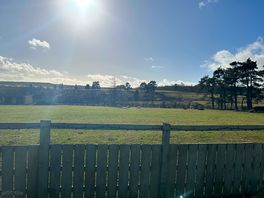 Site views