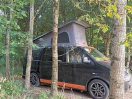 Forest floor pitch