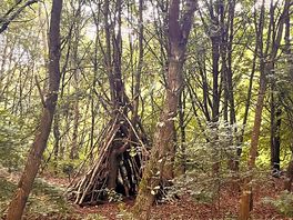 Lovey walk through woodland near by.