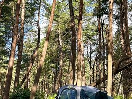 My setup in holmans wood