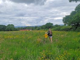 Beautiful meadow walks nearby