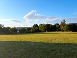 Pitch