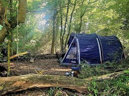 Home for the weekend