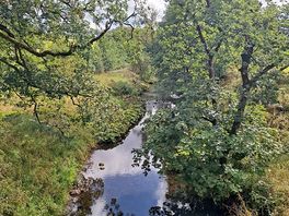 Eshton beck