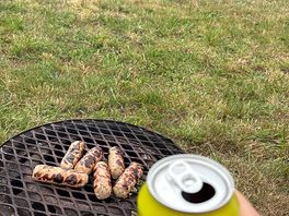 Bbq/wood burner