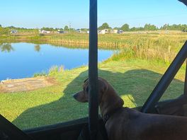 View from the roof tent window