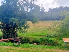 Domaine