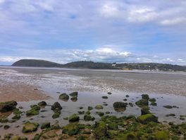 Low tide