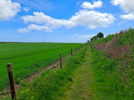 Walk from the site to the beach