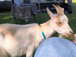 Made some new friends