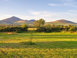 The bottom field