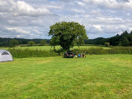 My tent under the tree