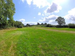 The site