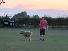 Dog friendly