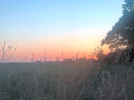 Beautiful sunset views