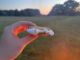 Fire pit smores