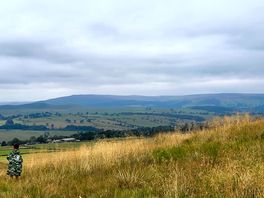 Cloudy view