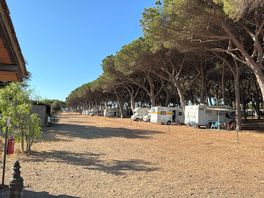 Pitches for motorhomes