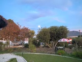 Lawn