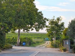 View from entrance of campsite.