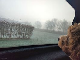 Foggy start