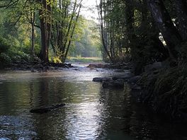 River view camping
