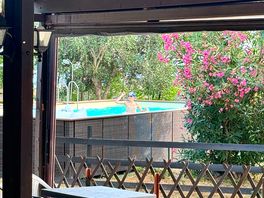View from bar onto the pool