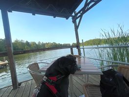 Cafe on the lake edge, tasty breakfast, great prices