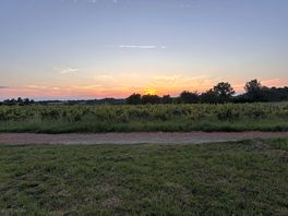 Sunset 1