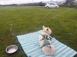 Very peaceful view the dog loved it!