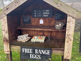 The lovely fresh eggs