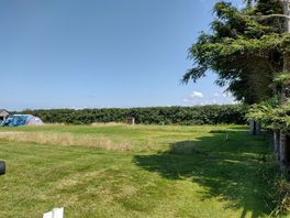 Back field