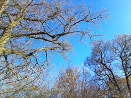 Blue skies
